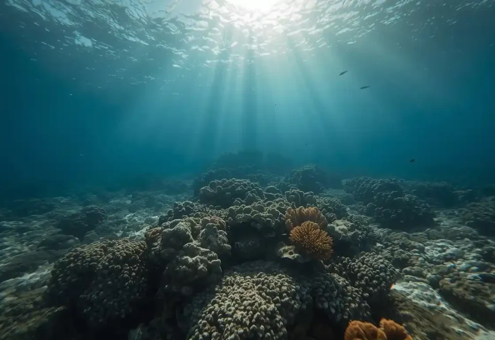 Climate Tipping Point